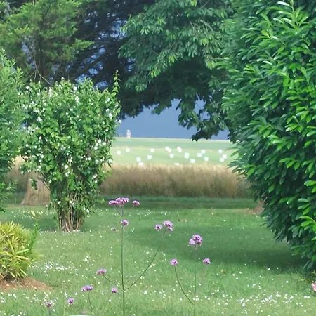 Guest house Lagalerne 3*