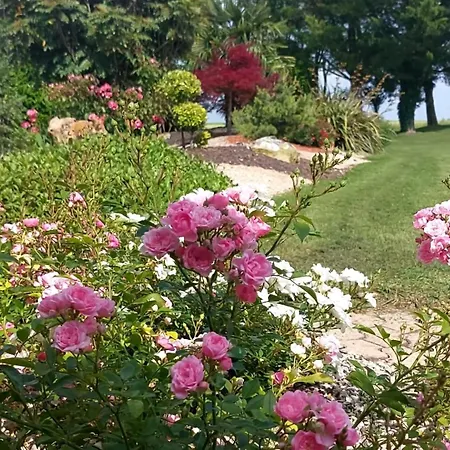 Guest house Lagalerne 3*