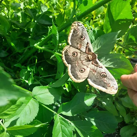 Lagalerne Guest house Neuville-de-Poitou