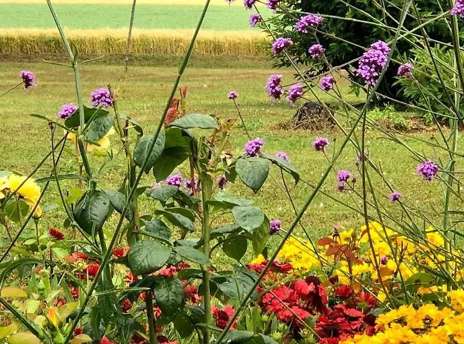 Guest house Lagalerne