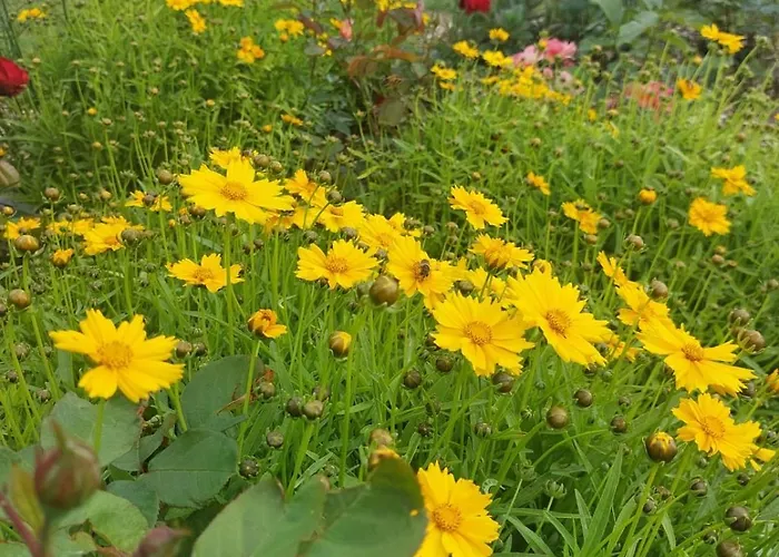 Guest house Lagalerne