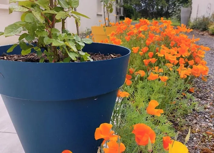 Lagalerne Guest house 3*