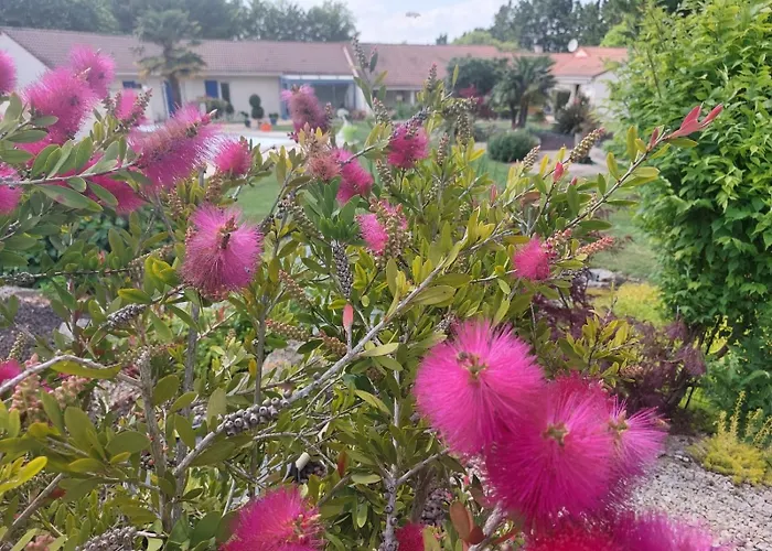 Guest house Lagalerne