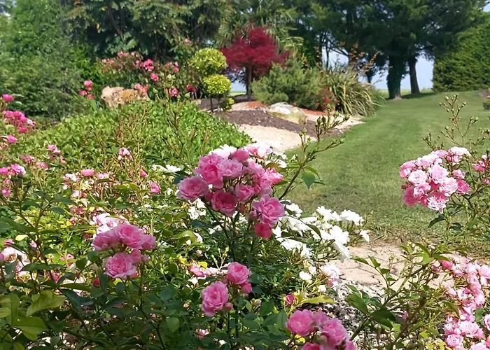 Guest house Lagalerne 3*