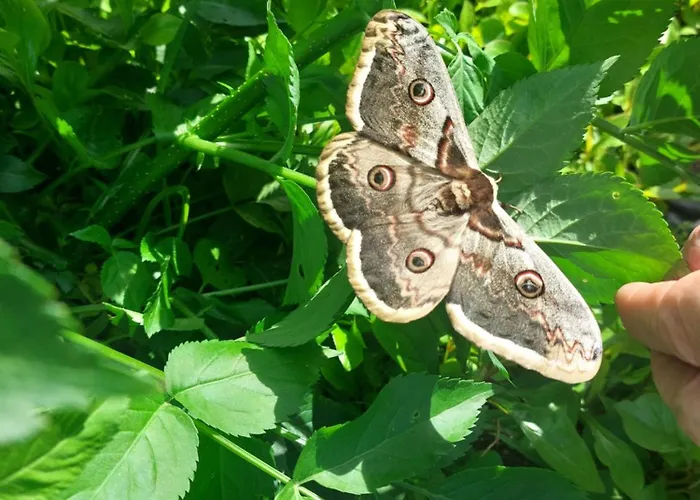 Lagalerne Guest house Neuville-de-Poitou
